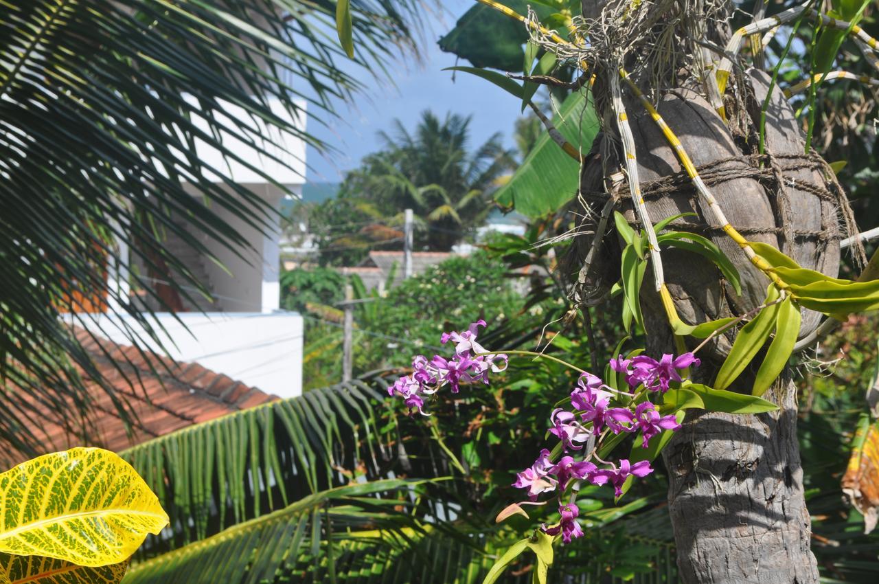 Bentota Orchid House Bed & Breakfast Luaran gambar