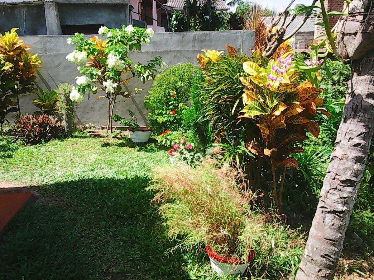 Bentota Orchid House Bed & Breakfast Luaran gambar