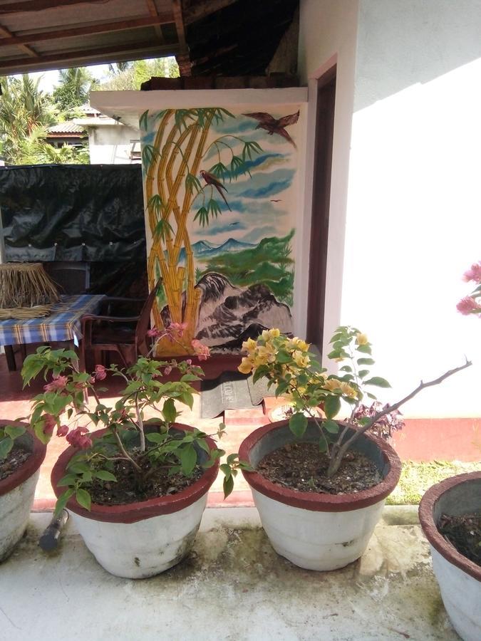 Bentota Orchid House Bed & Breakfast Luaran gambar