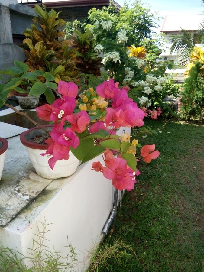 Bentota Orchid House Bed & Breakfast Luaran gambar