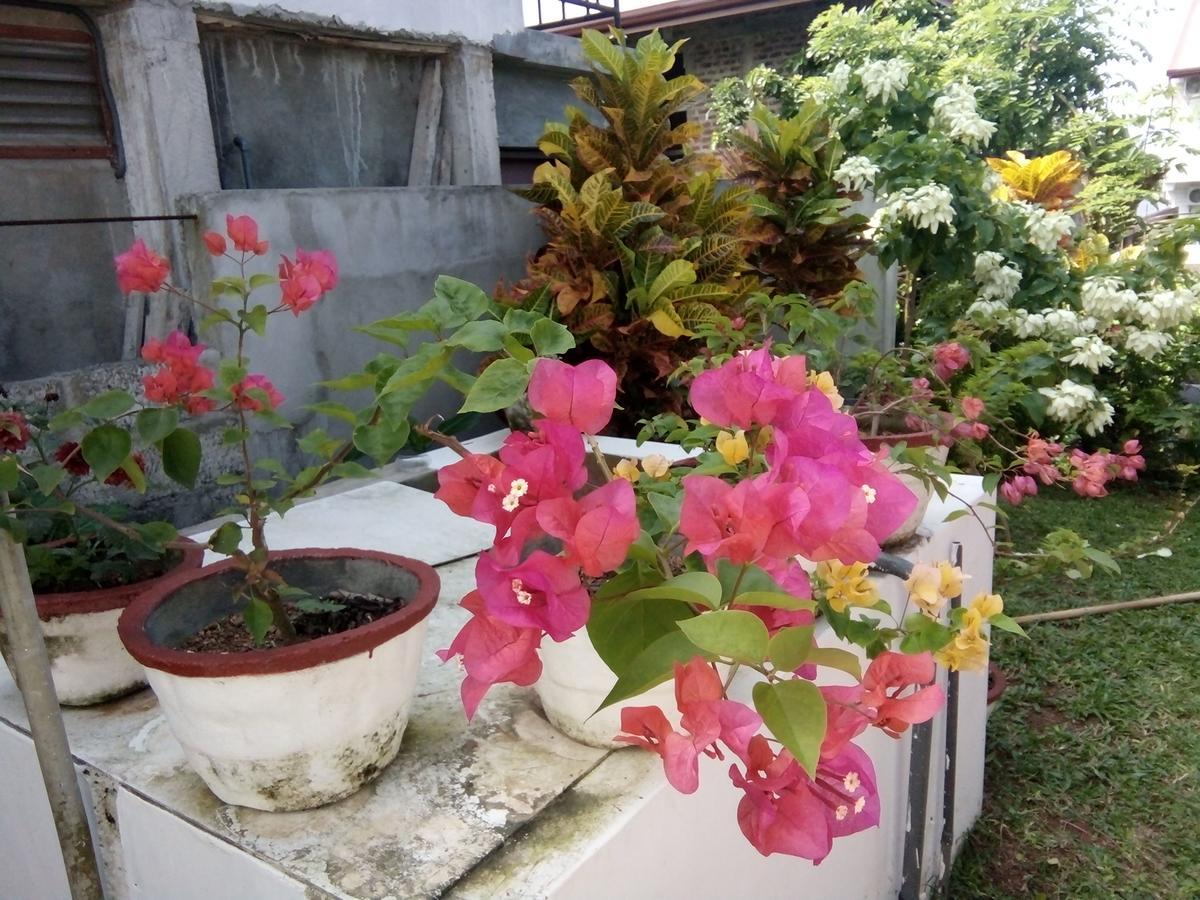 Bentota Orchid House Bed & Breakfast Luaran gambar