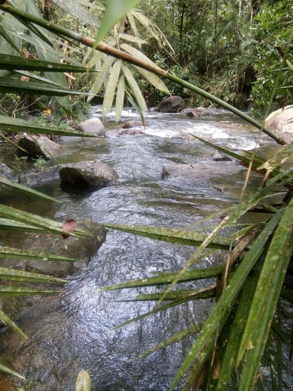 Bentota Orchid House Bed & Breakfast Luaran gambar